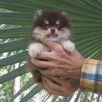 processed/8b61e5ca-06ff-42e5-b050-8c5bef703656/facility/d042a168-d622-4fc7-9383-980e8278ebd9