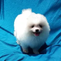 processed/8b61e5ca-06ff-42e5-b050-8c5bef703656/facility/f19ce258-9d13-4223-883e-c469bdb14813