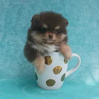 processed/8b61e5ca-06ff-42e5-b050-8c5bef703656/facility/fbc61175-b8db-4d68-9e8e-b928e55582bb