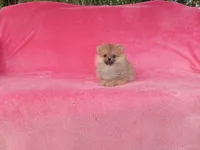 processed/8b61e5ca-06ff-42e5-b050-8c5bef703656/listing/3a386bf0-c56d-471d-a7cb-5a42e402428e/01f504a1-3cdb-41a1-815c-94e214bf1676