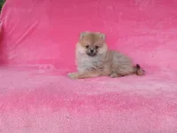 processed/8b61e5ca-06ff-42e5-b050-8c5bef703656/listing/3a386bf0-c56d-471d-a7cb-5a42e402428e/c2d06b60-c64d-4625-b6b9-a84573244a3f