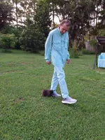Blueberry, a male Pomeranian for sale in West Palm Beach, FL – 5 of 10