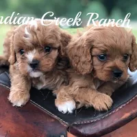 processed/8b62005f-1560-48e7-a7b4-f5995556141c/facility/02509d25-3c89-4037-9457-aa5680fb0014