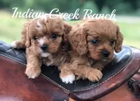 processed/8b62005f-1560-48e7-a7b4-f5995556141c/facility/02509d25-3c89-4037-9457-aa5680fb0014