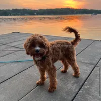 processed/8b62005f-1560-48e7-a7b4-f5995556141c/facility/151177b7-ac1e-4620-996f-46e7f445f68e