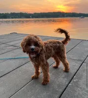 processed/8b62005f-1560-48e7-a7b4-f5995556141c/facility/151177b7-ac1e-4620-996f-46e7f445f68e