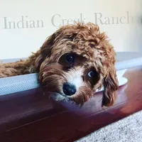 processed/8b62005f-1560-48e7-a7b4-f5995556141c/facility/45b9e64c-2a14-4000-a7a1-3c80cb0e4678