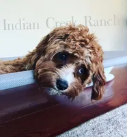 processed/8b62005f-1560-48e7-a7b4-f5995556141c/facility/45b9e64c-2a14-4000-a7a1-3c80cb0e4678