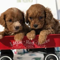 processed/8b62005f-1560-48e7-a7b4-f5995556141c/facility/903b5cbf-d646-4bd1-a34a-797376971761