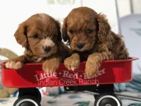 processed/8b62005f-1560-48e7-a7b4-f5995556141c/facility/903b5cbf-d646-4bd1-a34a-797376971761