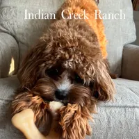 processed/8b62005f-1560-48e7-a7b4-f5995556141c/facility/dd50268c-c27c-46ca-a11b-57f7aeddf4c5