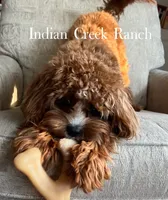 processed/8b62005f-1560-48e7-a7b4-f5995556141c/facility/dd50268c-c27c-46ca-a11b-57f7aeddf4c5