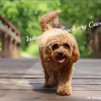 processed/8b62005f-1560-48e7-a7b4-f5995556141c/facility/ea8d92ac-5173-4917-b9c7-0fd2b4fe697d