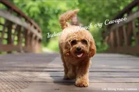 processed/8b62005f-1560-48e7-a7b4-f5995556141c/facility/ea8d92ac-5173-4917-b9c7-0fd2b4fe697d