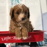 processed/8b62005f-1560-48e7-a7b4-f5995556141c/facility/fe1fe8b3-a66d-4daa-8571-ed0b3d76f40f