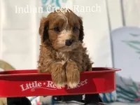 processed/8b62005f-1560-48e7-a7b4-f5995556141c/facility/fe1fe8b3-a66d-4daa-8571-ed0b3d76f40f