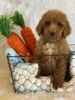 processed/8b67f4e0-bf72-4e4d-b284-bc62fd145d15/facility/671cd503-5c57-4cfe-84cb-97d141914fc8