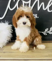 processed/8b67f4e0-bf72-4e4d-b284-bc62fd145d15/facility/73528554-ff7c-4bd4-95ad-60ddbec0faba