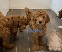 processed/8b67f4e0-bf72-4e4d-b284-bc62fd145d15/facility/74633a30-4f1c-4bd7-9da4-bd0a436c1534