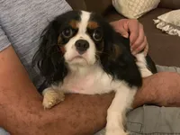 processed/8b67f4e0-bf72-4e4d-b284-bc62fd145d15/facility/824cb591-f8d4-44f6-b37f-304ab93bcde3