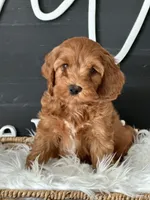 processed/8b67f4e0-bf72-4e4d-b284-bc62fd145d15/facility/ab746eb4-446e-4fac-aac1-a0c7cb924221