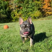 processed/8b70c30a-c4cd-4532-b80d-3945a71ed426/facility/22858b4b-9f9d-406b-9a71-4d27c6f11205