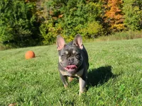 processed/8b70c30a-c4cd-4532-b80d-3945a71ed426/facility/22858b4b-9f9d-406b-9a71-4d27c6f11205