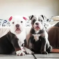 processed/8b70c30a-c4cd-4532-b80d-3945a71ed426/facility/32f420f7-a374-4822-b8dc-9ff52c5b4916