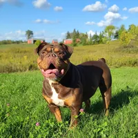 processed/8b70c30a-c4cd-4532-b80d-3945a71ed426/facility/9c4f6129-4f13-461b-9525-0086449fca40