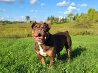 processed/8b70c30a-c4cd-4532-b80d-3945a71ed426/facility/9c4f6129-4f13-461b-9525-0086449fca40