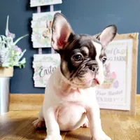 processed/8b70c30a-c4cd-4532-b80d-3945a71ed426/facility/a26256ce-3bb6-483f-9a73-9fde49ff1005