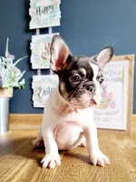 processed/8b70c30a-c4cd-4532-b80d-3945a71ed426/facility/a26256ce-3bb6-483f-9a73-9fde49ff1005