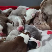 processed/8b70c30a-c4cd-4532-b80d-3945a71ed426/facility/b1a2b0b9-6818-4e80-99f5-21ec7b364500