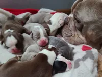 processed/8b70c30a-c4cd-4532-b80d-3945a71ed426/facility/b1a2b0b9-6818-4e80-99f5-21ec7b364500