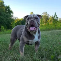 processed/8b70c30a-c4cd-4532-b80d-3945a71ed426/facility/b512da2f-074c-4c71-9f08-2b555b6ebce0