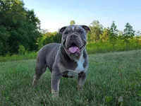 processed/8b70c30a-c4cd-4532-b80d-3945a71ed426/facility/b512da2f-074c-4c71-9f08-2b555b6ebce0