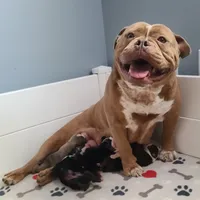 processed/8b70c30a-c4cd-4532-b80d-3945a71ed426/facility/c287e64e-4247-4f6f-b5fd-970a62cc5c20