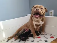 processed/8b70c30a-c4cd-4532-b80d-3945a71ed426/facility/c287e64e-4247-4f6f-b5fd-970a62cc5c20