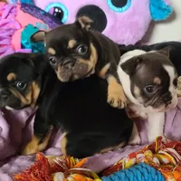 processed/8b70c30a-c4cd-4532-b80d-3945a71ed426/facility/cadfedf9-5021-4dc7-9d63-f274e179caf7