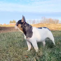 processed/8b70c30a-c4cd-4532-b80d-3945a71ed426/facility/ed362804-9379-4c11-9488-12189a2fcb51