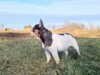 processed/8b70c30a-c4cd-4532-b80d-3945a71ed426/facility/ed362804-9379-4c11-9488-12189a2fcb51