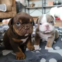 processed/8b70c30a-c4cd-4532-b80d-3945a71ed426/facility/f7828cd1-500d-4520-ad6a-0562081ddb5a