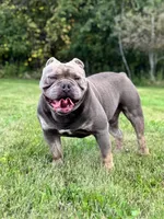 processed/8b70c30a-c4cd-4532-b80d-3945a71ed426/listing/8be0a5f1-9f9e-4876-a140-febc848a8fa8/25a28435-adbd-4145-8494-19f6835812de