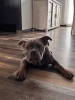 processed/8b70c30a-c4cd-4532-b80d-3945a71ed426/listing/8be0a5f1-9f9e-4876-a140-febc848a8fa8/291e9275-dba7-48bf-8159-84f7f4a74547