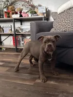 processed/8b70c30a-c4cd-4532-b80d-3945a71ed426/listing/8be0a5f1-9f9e-4876-a140-febc848a8fa8/5e67ee03-db24-4d97-9471-0826ba0fbe2d