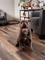 processed/8b70c30a-c4cd-4532-b80d-3945a71ed426/listing/8be0a5f1-9f9e-4876-a140-febc848a8fa8/60e9ea7a-860a-4b3e-a841-d1fd175021bd