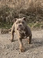 processed/8b70c30a-c4cd-4532-b80d-3945a71ed426/listing/8be0a5f1-9f9e-4876-a140-febc848a8fa8/888d190b-74b0-4958-a60e-f7f35cbe96e3