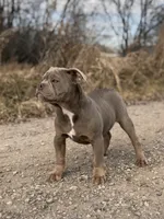 processed/8b70c30a-c4cd-4532-b80d-3945a71ed426/listing/8be0a5f1-9f9e-4876-a140-febc848a8fa8/93ebb492-8bda-44a6-aac4-93695553eb9c