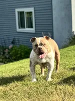 processed/8b70c30a-c4cd-4532-b80d-3945a71ed426/listing/8be0a5f1-9f9e-4876-a140-febc848a8fa8/a6f4a3b5-a40b-48a0-8bf7-fd7a7ce55e72