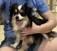 processed/8b7a0724-cc81-4470-b3e7-36f9b0b05079/facility/0cfed774-21f4-4fa4-911e-759af1bfa8cc